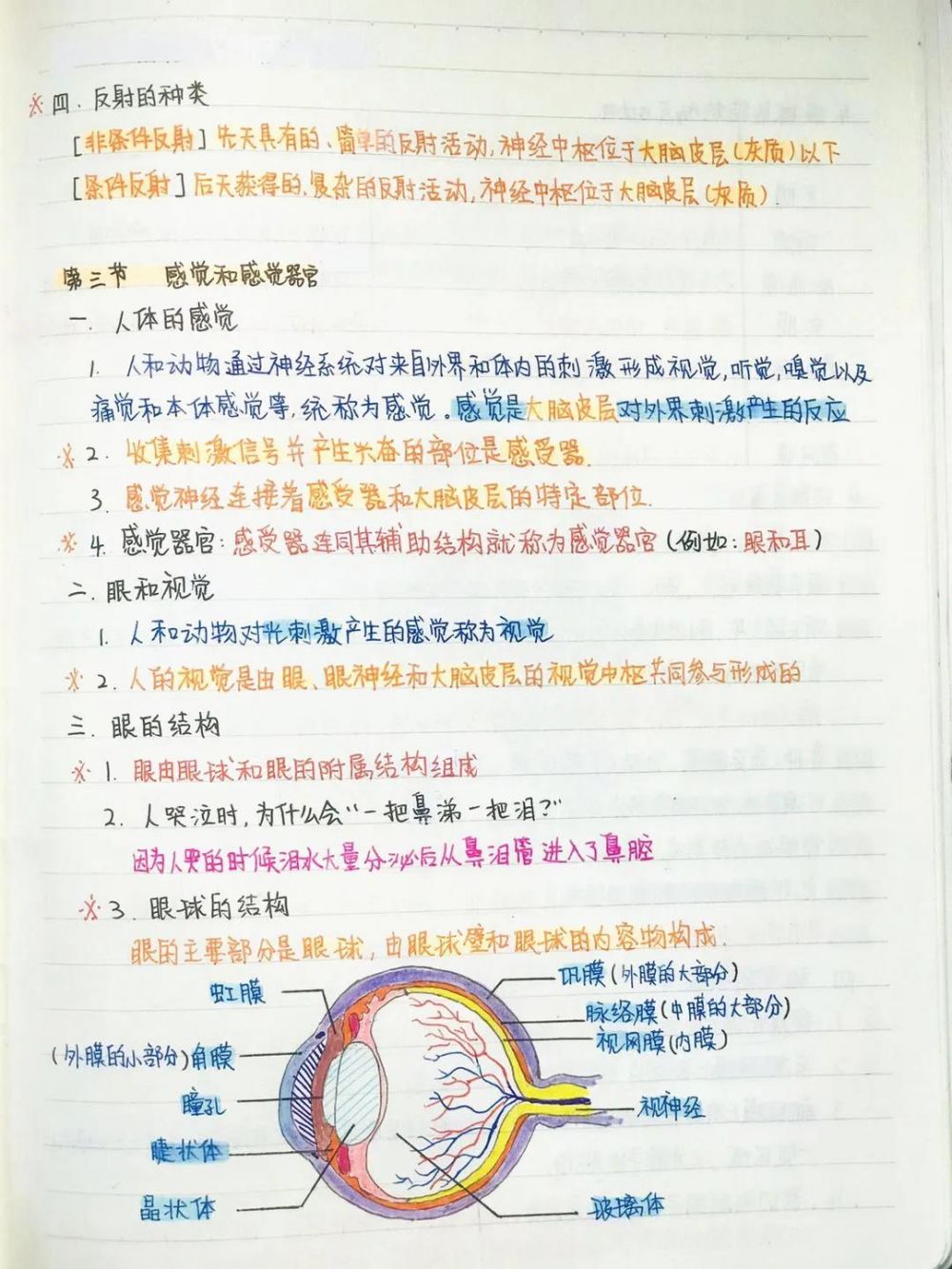 微信图片_20200706160935.jpg