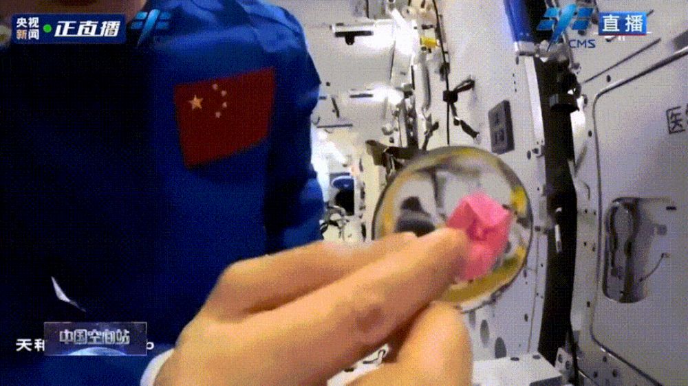 (5)微信图片_20220318110144）5（.gif