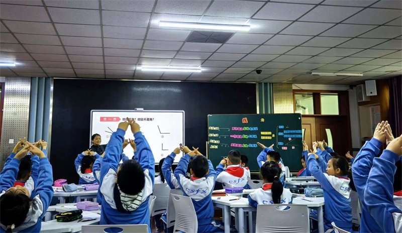 1773717872189268.jpg 微信图片_2026-03-17_102530_774.jpg