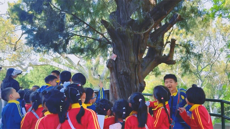 微信图片_2026-05-14_160903_767.jpg