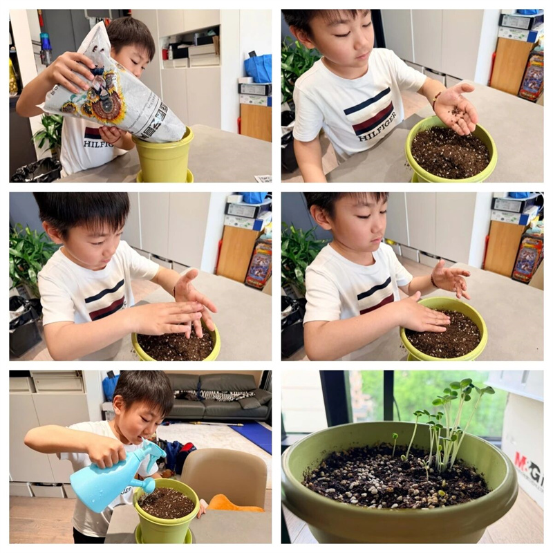 1781776656209363.jpg 微信图片_2026-06-15_183142_750.jpg